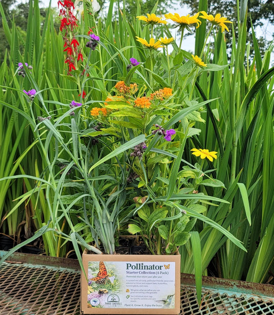 Pollinator Pack – Bring the Buzz!