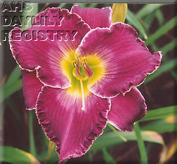 Placeholder image for Daylily Purple Sun